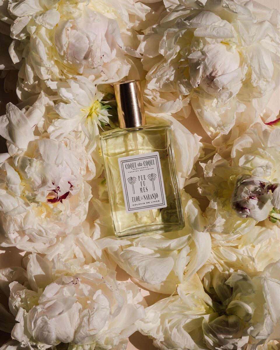 Todo el mundo dice que mi sala huele a spa porque siempre compro en estas tiendas de ambientadores