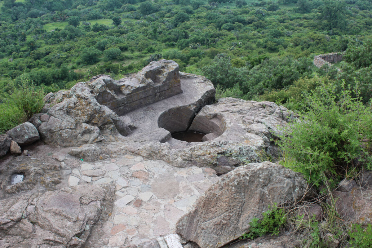 Tina circular labrada en roca en medio de la vegetación en los Baños de Nezahualcóyotl, Texcoco