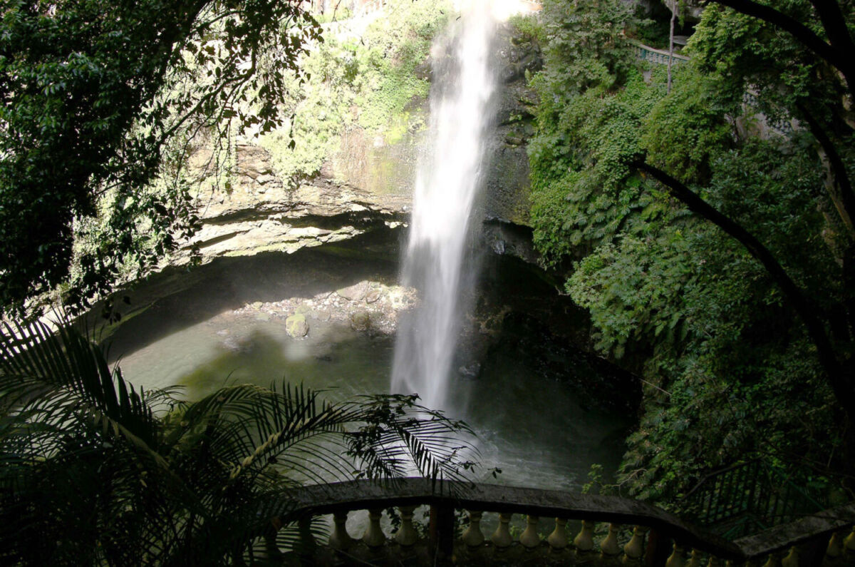cascada descendiendo entre una barranca llena de vegetación