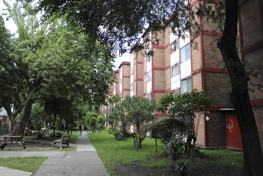 Pasillos arbolados de la Col. Villa Coapa 