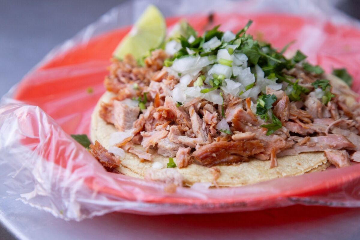 taco de carnitas con cebolla y cilantro 
