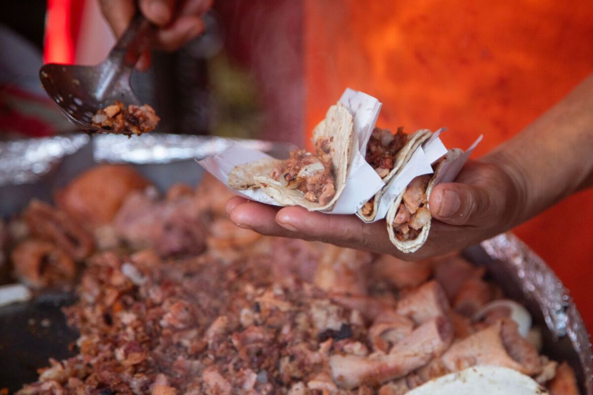 taquero sosteniendo en su mano tacos recién preparados 