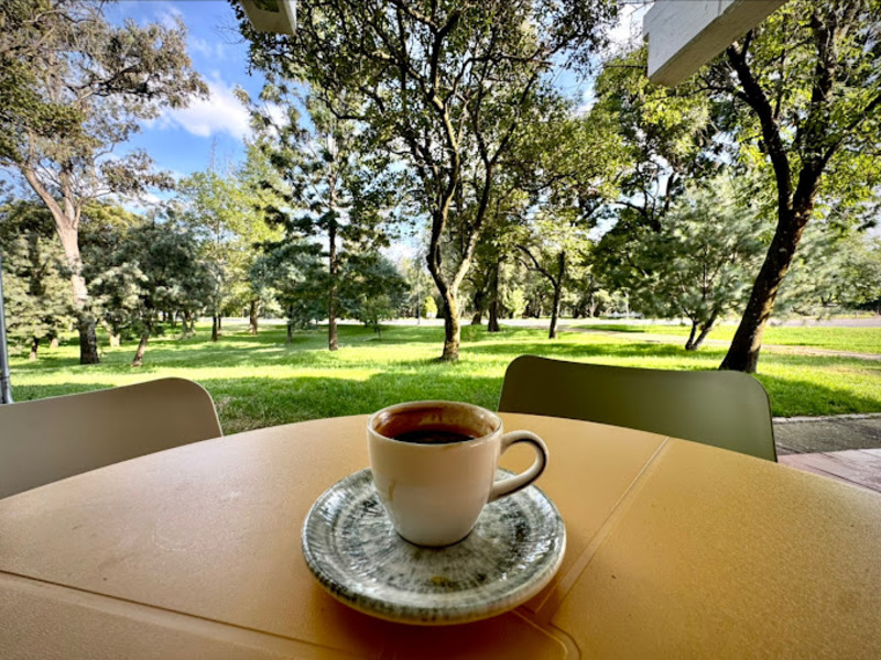 taza de café en el bosque de chapultepec