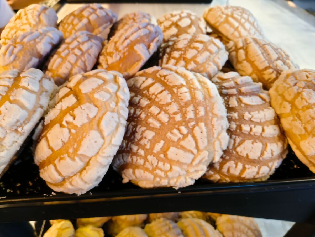 conchas de vainilla 
