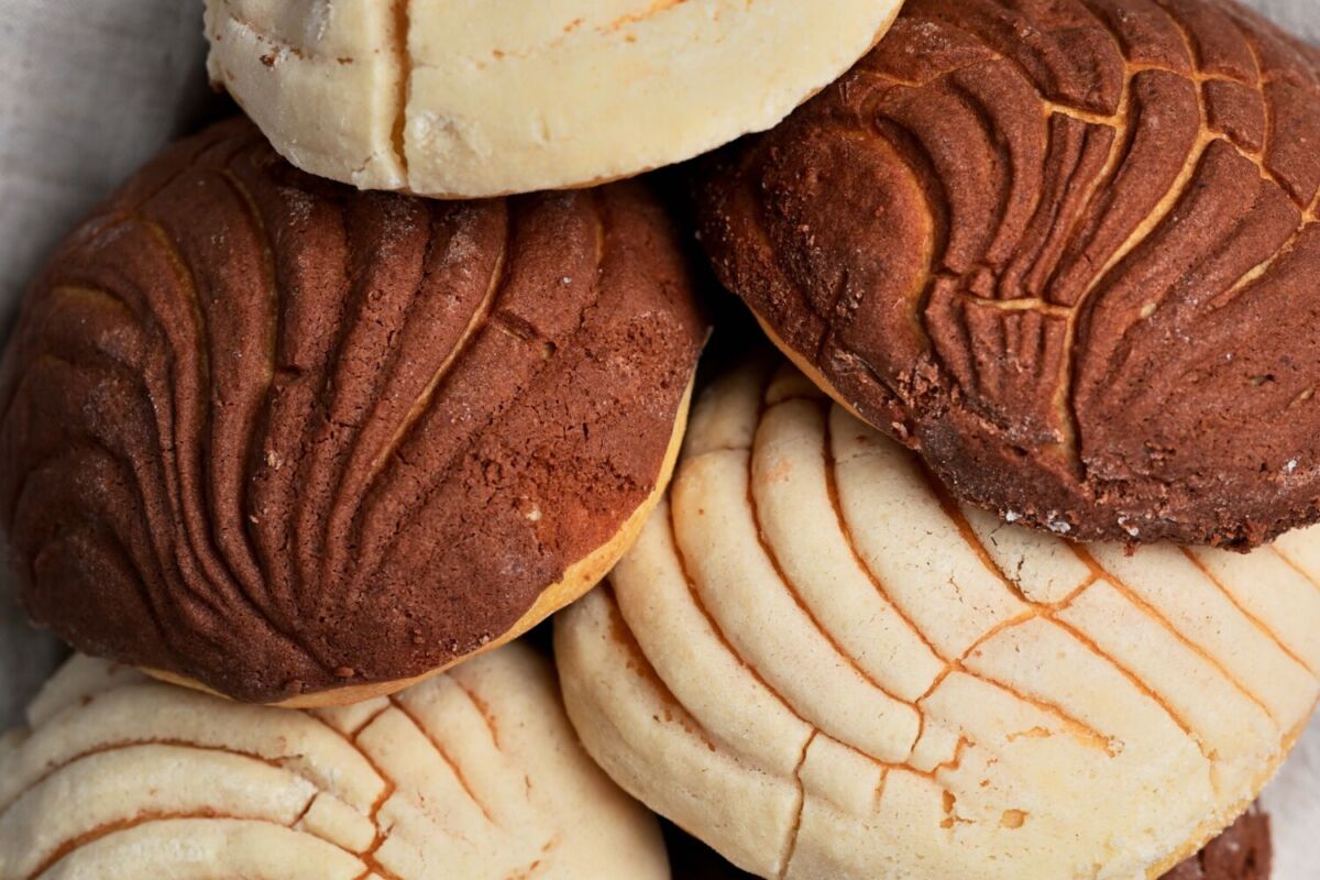 conchas de vainilla y chocolate 