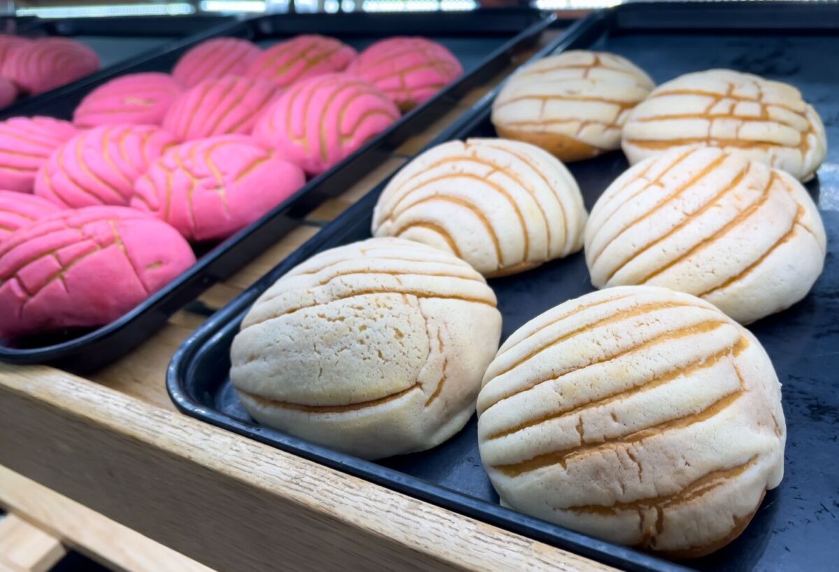 conchas de vainilla y fresca acomodadas en una panadería 
