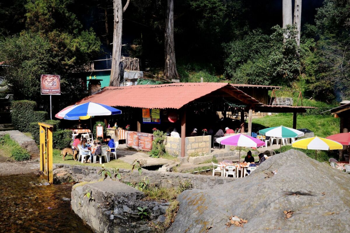 restaurante al aire libre en medio del bosque 