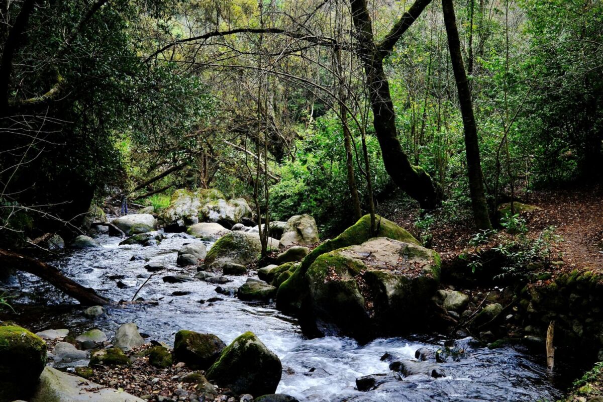 un río fluyendo entre las rocas 