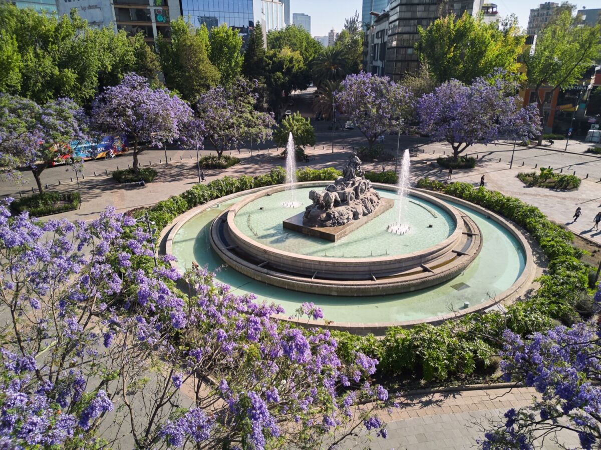 Una fuente rodeada de jacarandas en la CDMX 