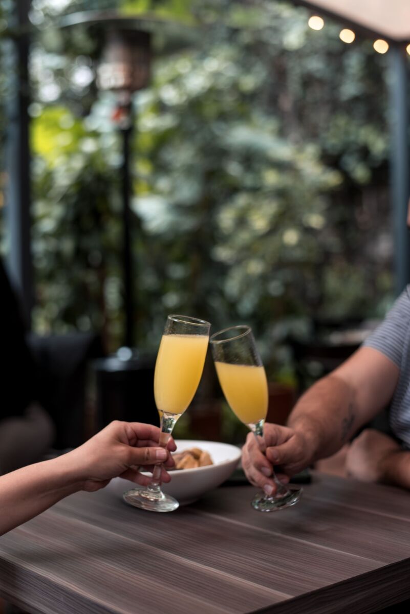 dos personas brindando con mimosas y plantas de fondo
