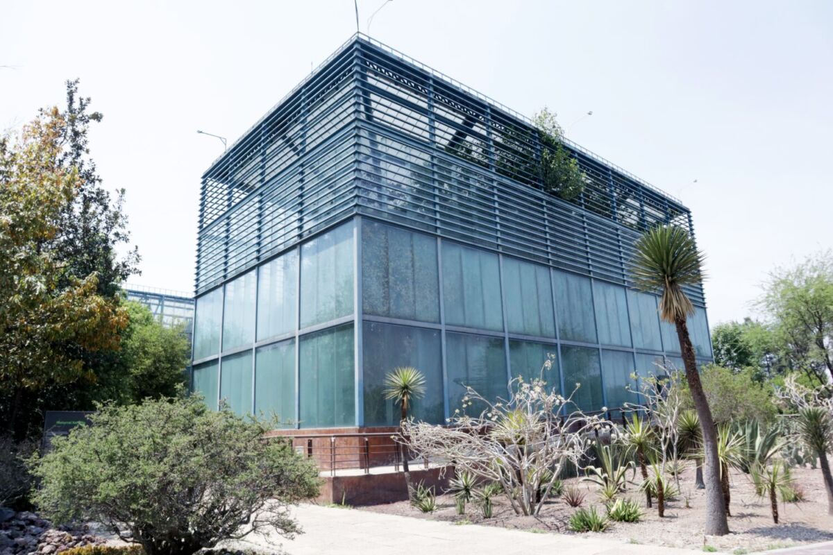 nvernadero del Orquideario del Parque Bicentenario, Azcapotzalco. Edificio moderno de dos pisos con fachada de vidrio translúcido.