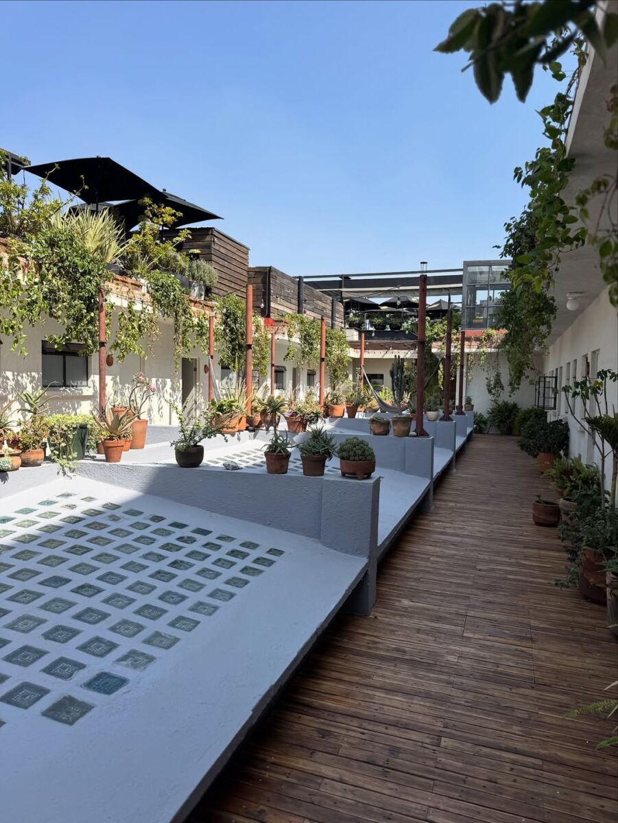 terraza llena de plantas 