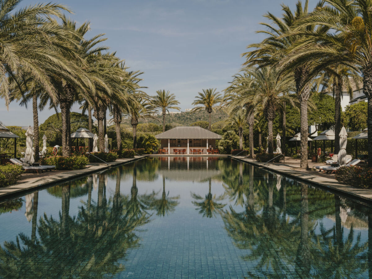 alberca grande rodeada de palmeras