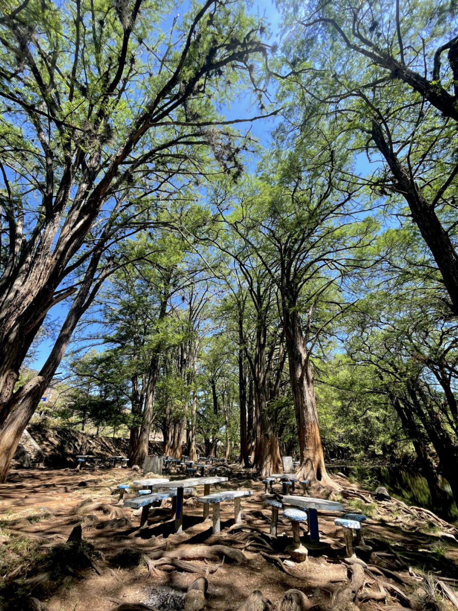 Área natural con mesas y sillas en Las Musas, Guanajuato