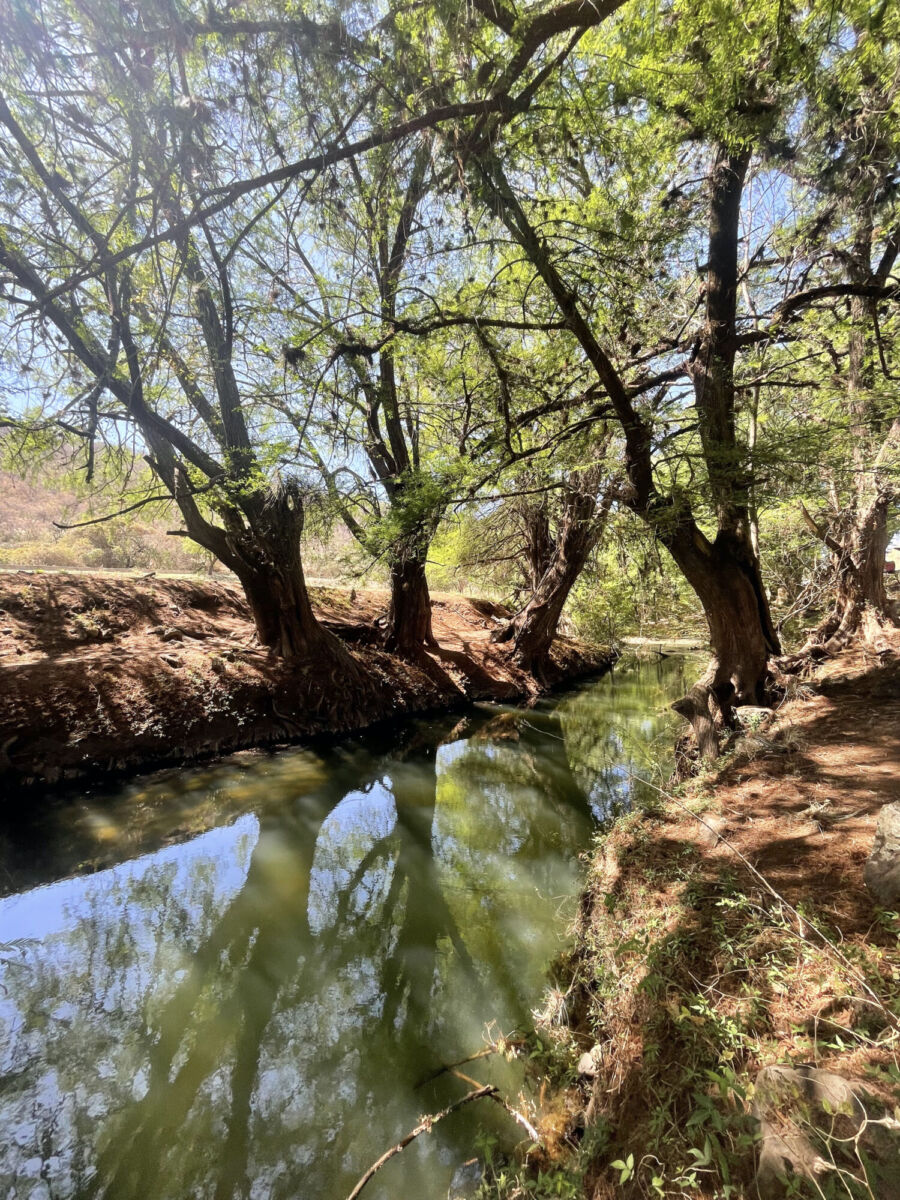 Río Colorado en Las Musas, Guanajuato 