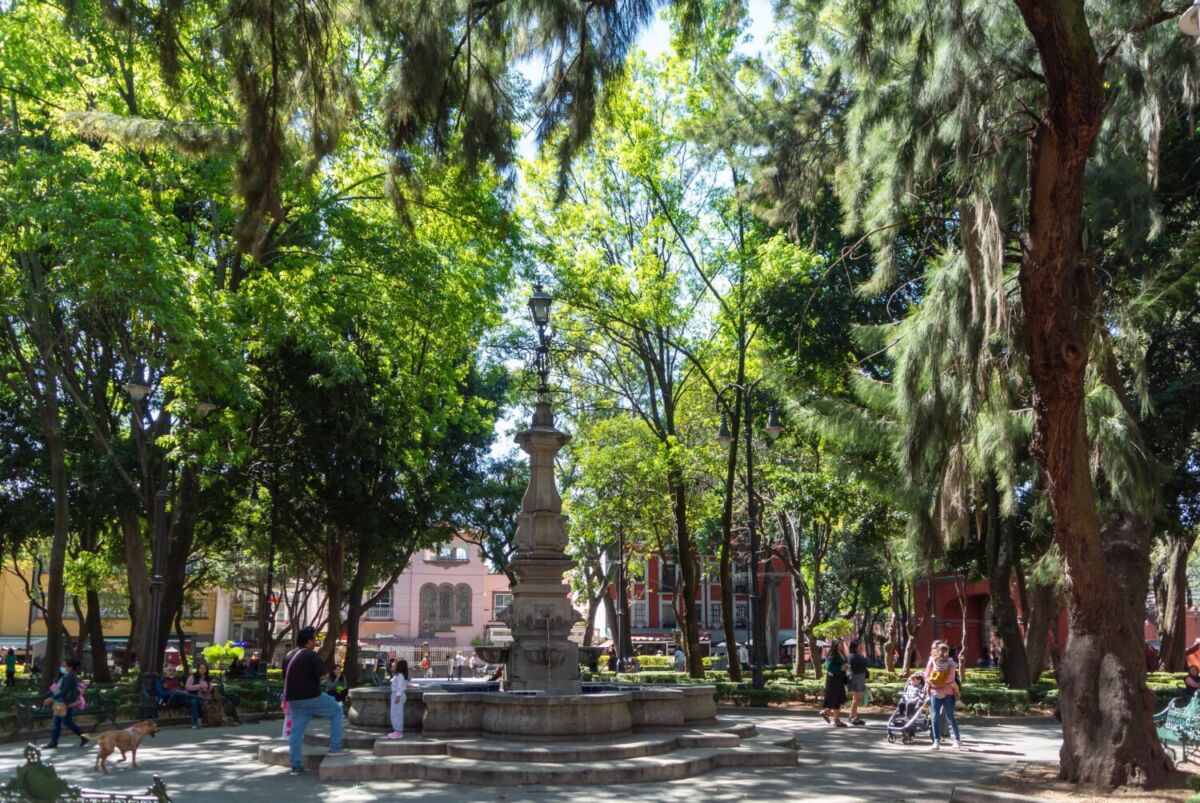 jardín público rodeado de árboles y fuentes en Coyoacán 