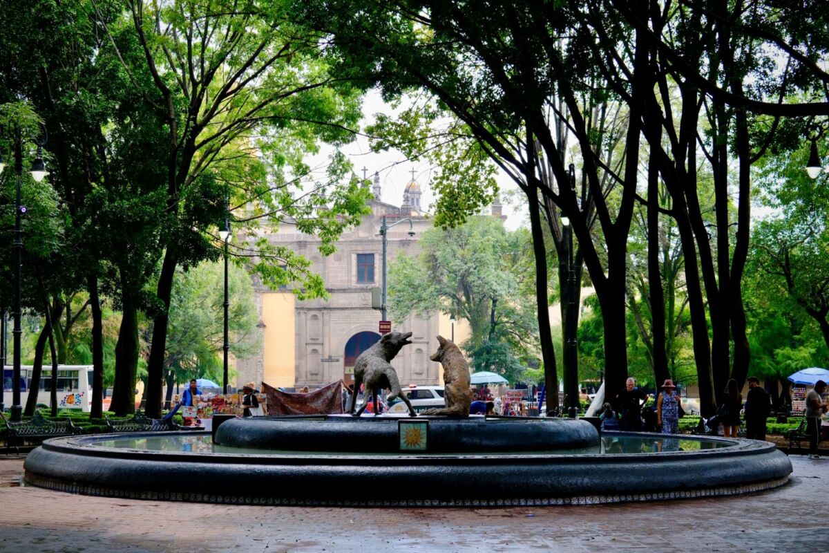 fuente en un parque público de la CDMX 