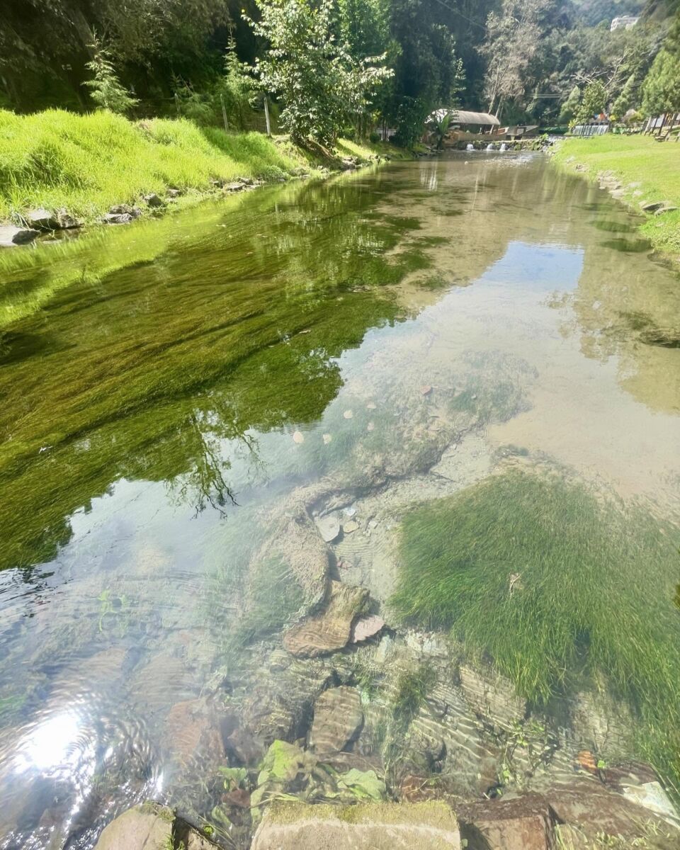 Agua cristalina rodeada de montes verdes en Chignautla, Puebla