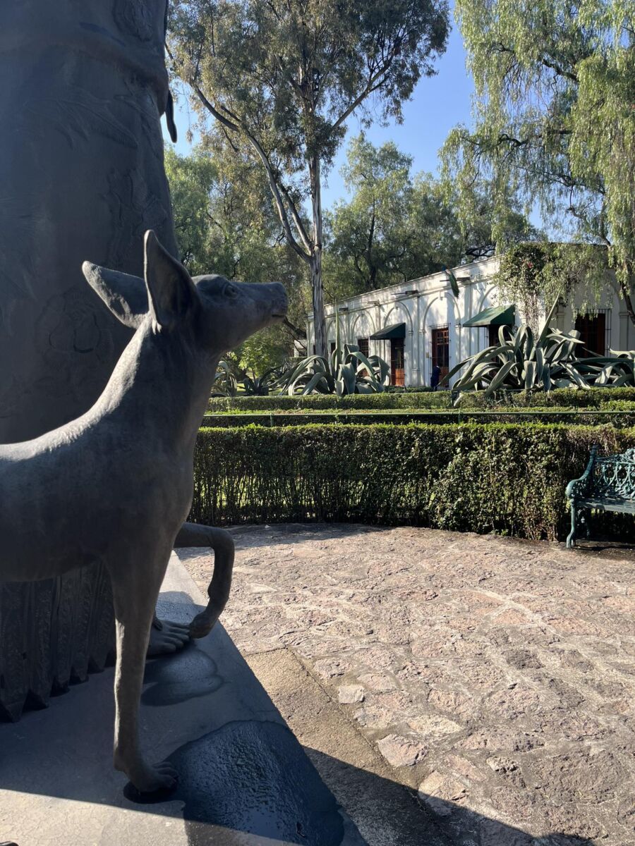 close up de una escultura de un xoloitzcuintle frente al museo dolores olmedo