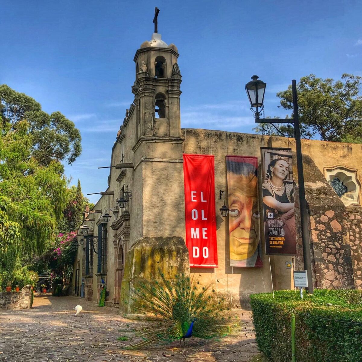 Xochimilco recupera su tesoro: La mayor colección de Frida Kahlo y Diego Rivera vuelve a casa