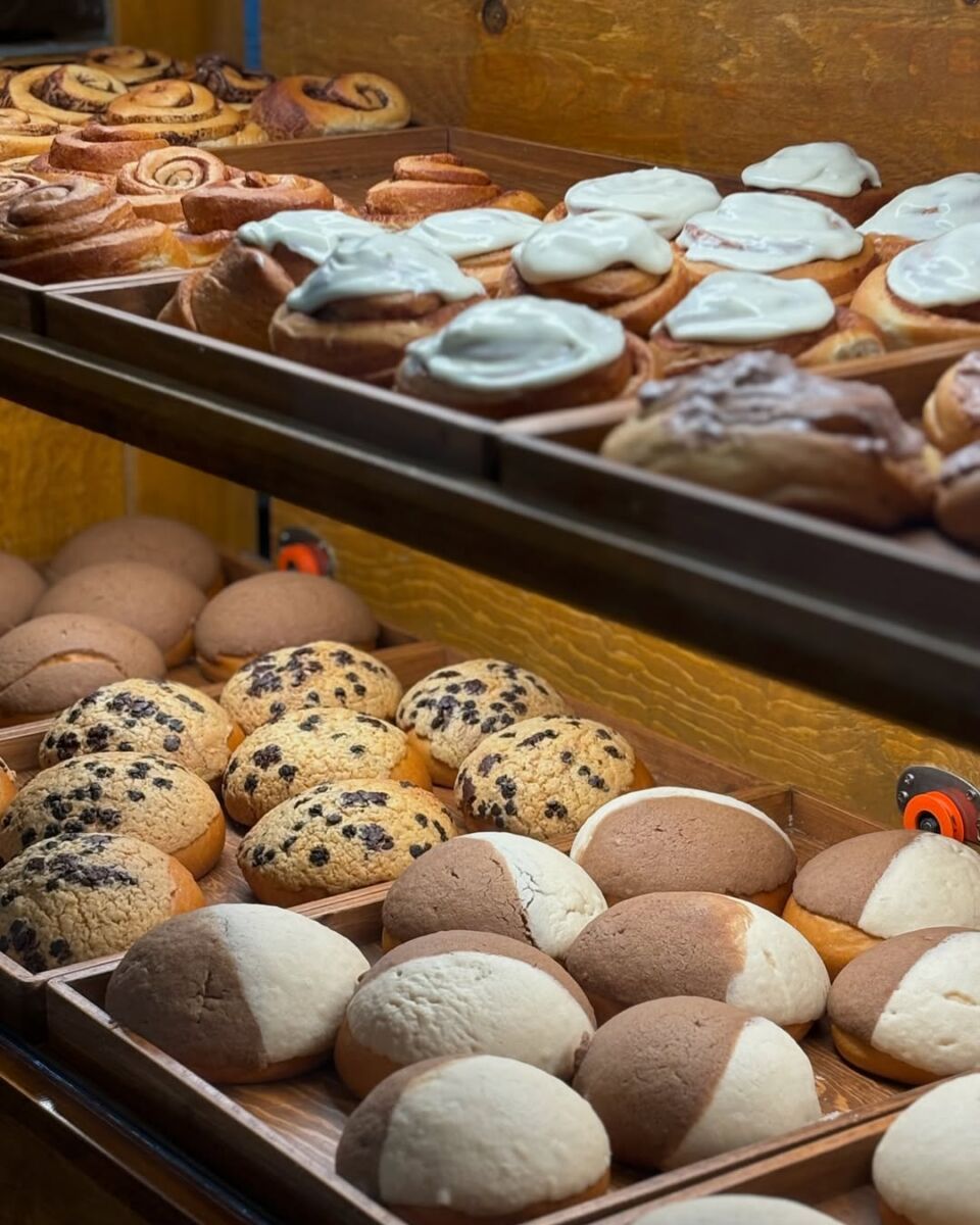 Vitrinas llenas de pan en la Panadería Buono en la CDMX