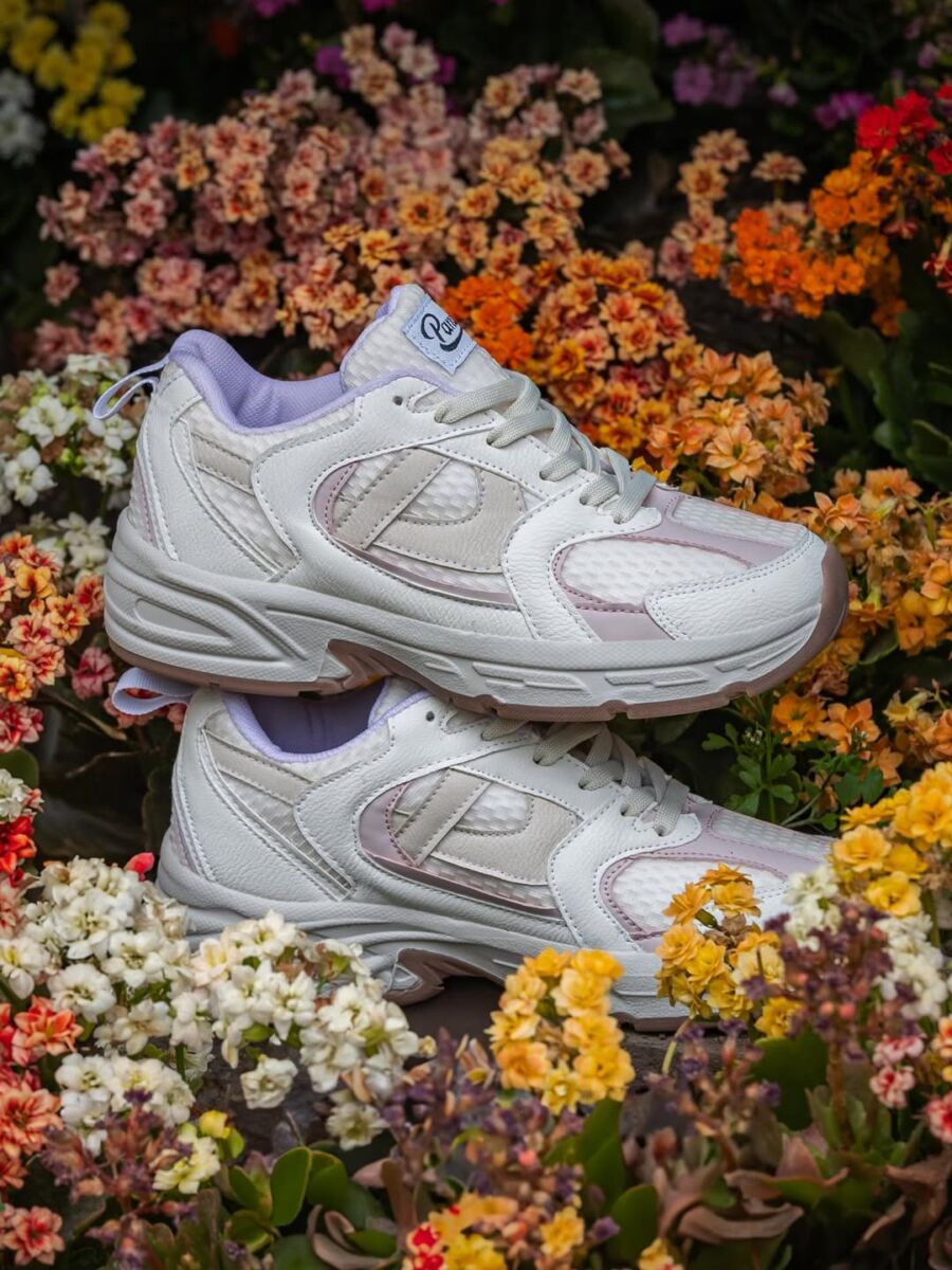  Panam Boston Amigable