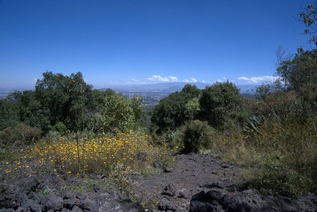  reserva ecológica en CDMX 