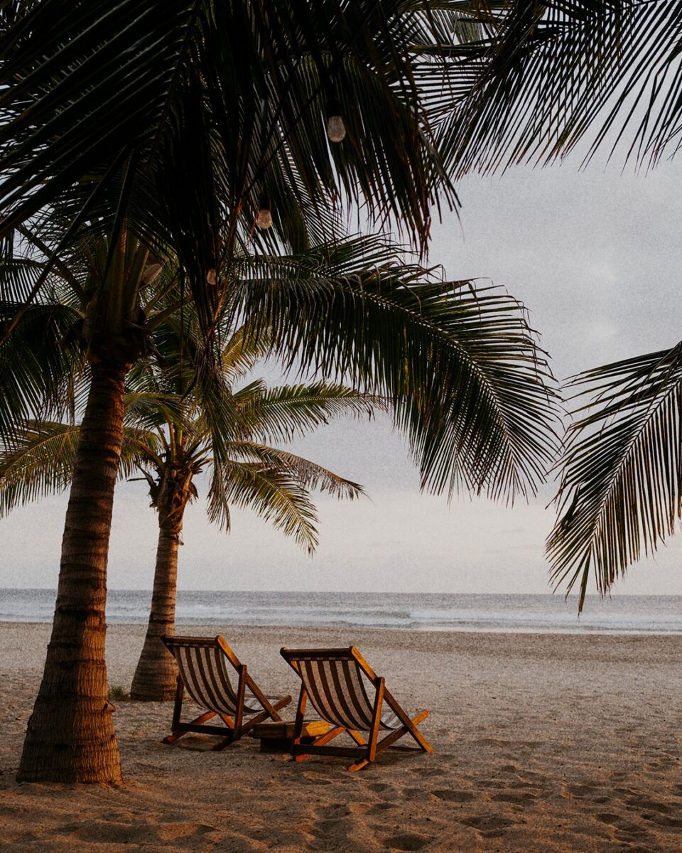 dos sillas plegables junta a una palmera en el mar 