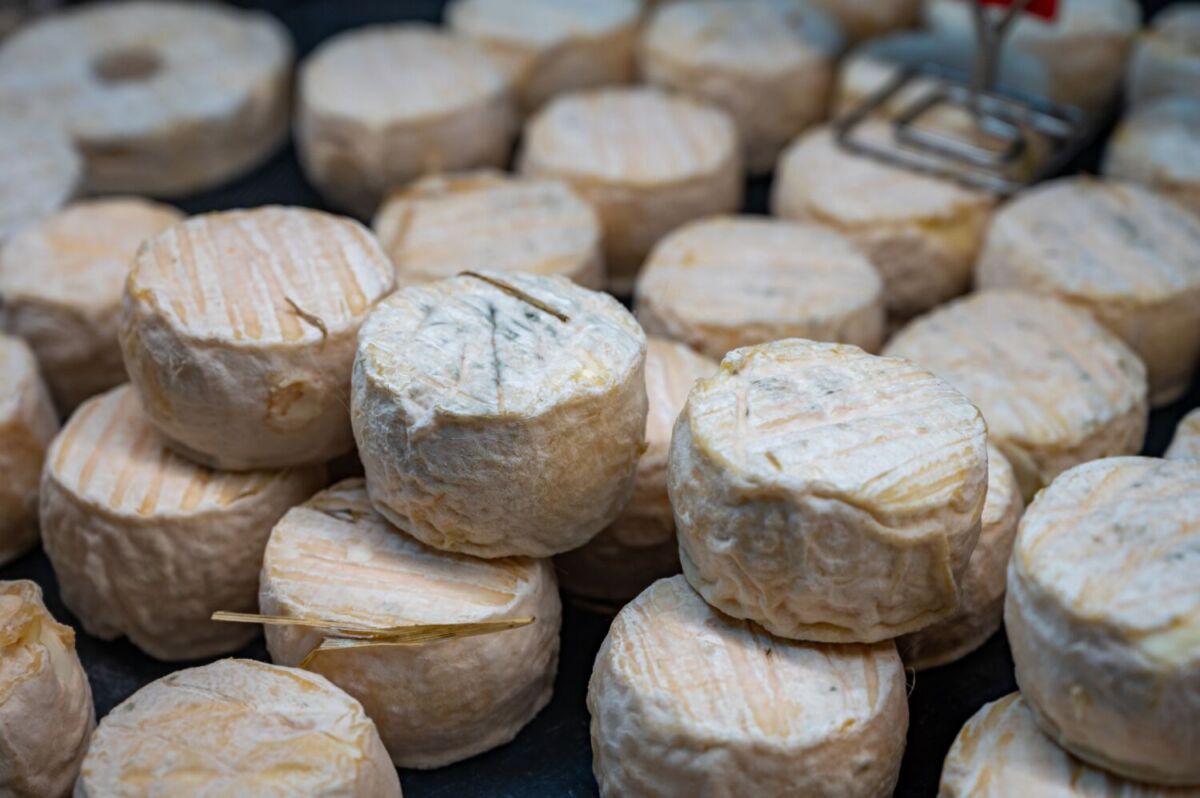 bolas de queso de cabra 