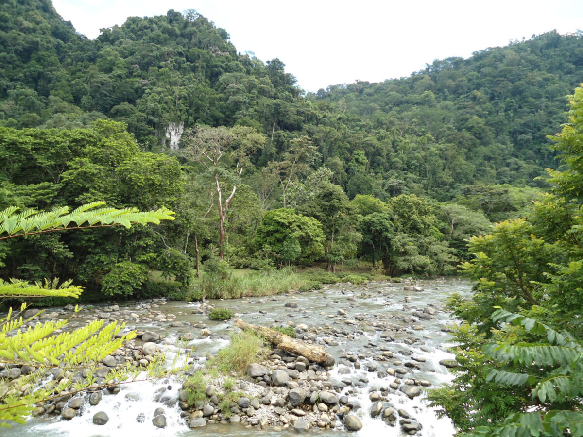 río fluyendo entre cerros y árboles 