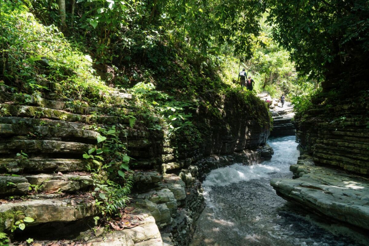 corriente de agua pasando entre una zona boscosa 