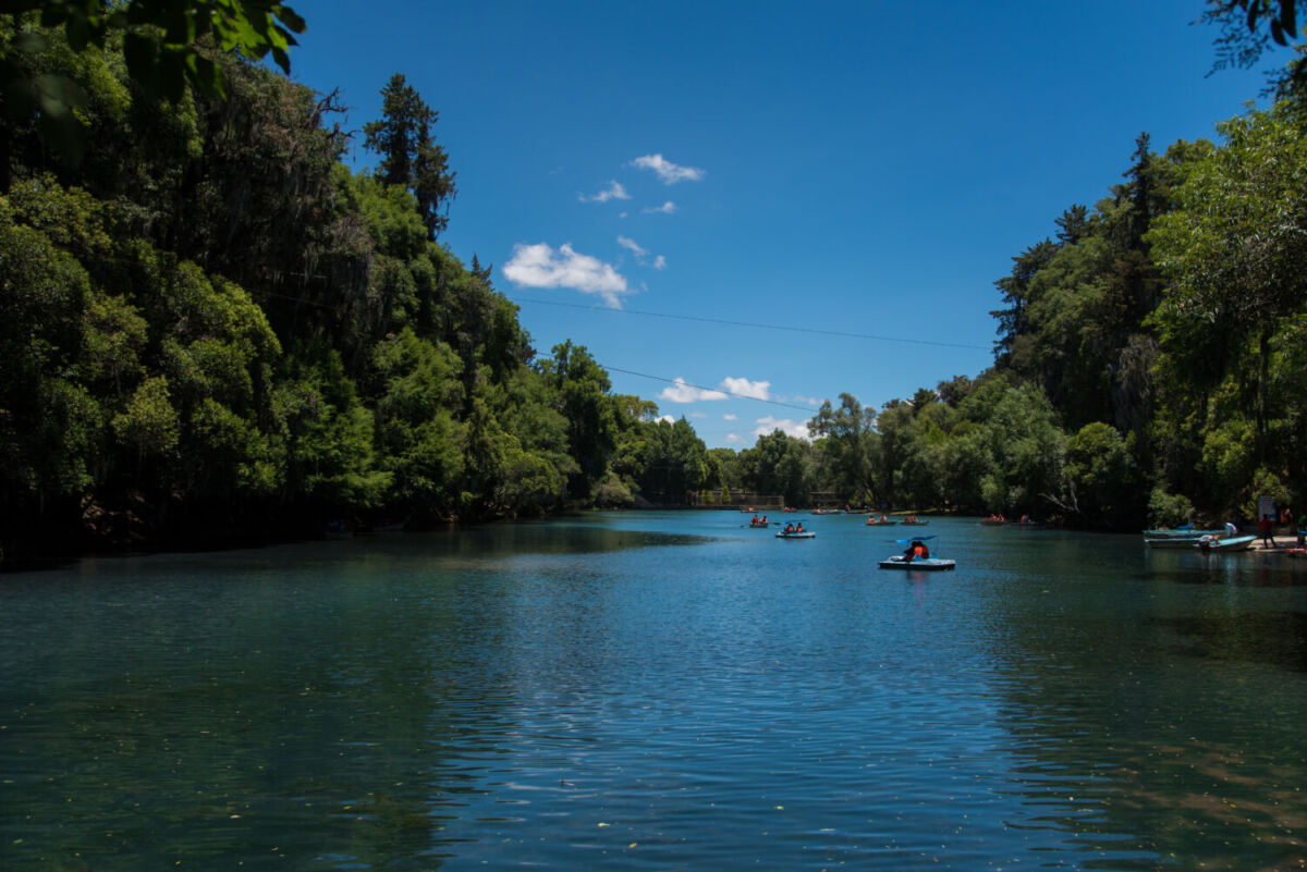 lago natural rodeado de pinos 