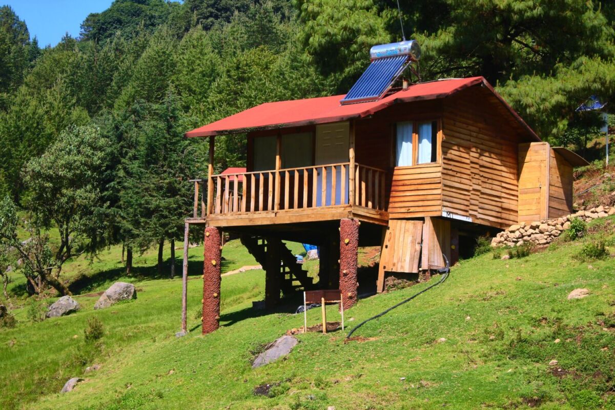 cabaña rústica en medio del bosque 
