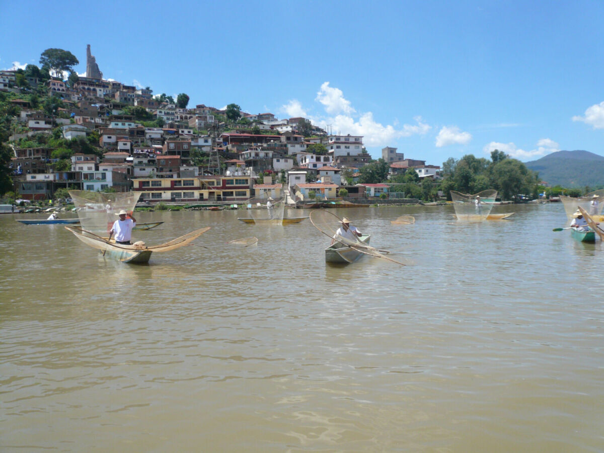 Grupo de personas a bordo de una lancha pescando con red de mariposa 