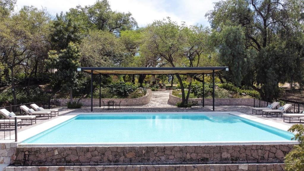 alberca rectangular al aire libre