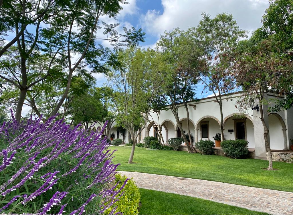 hacienda colonial con árboles y campos de lavanda