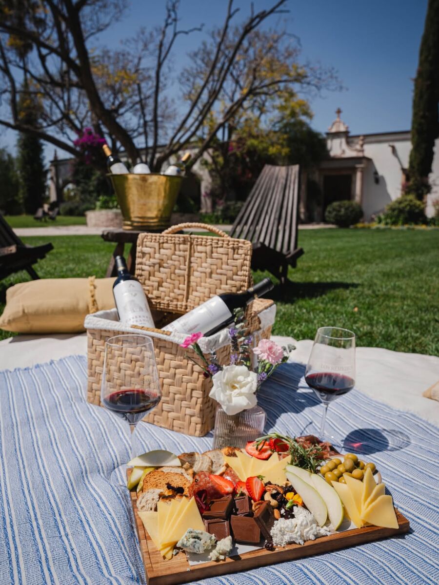 picnic con una tabla de quesos y una canasta con dos botellas de vino