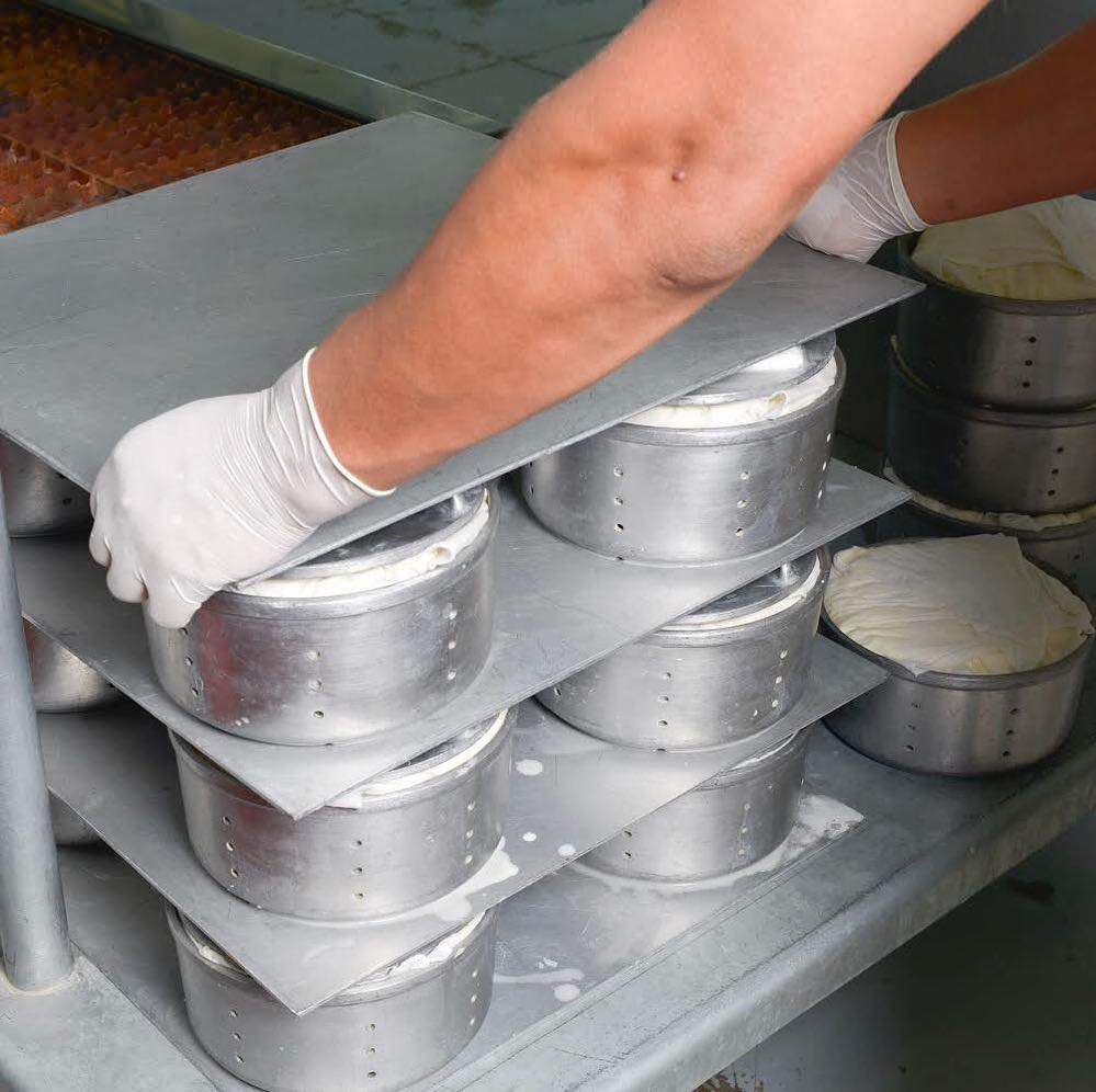 producción de quesos artesanales 