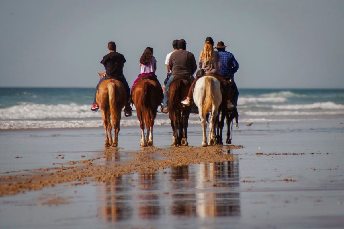 familia de cinco personas montando en caballos por la playa junto al mar