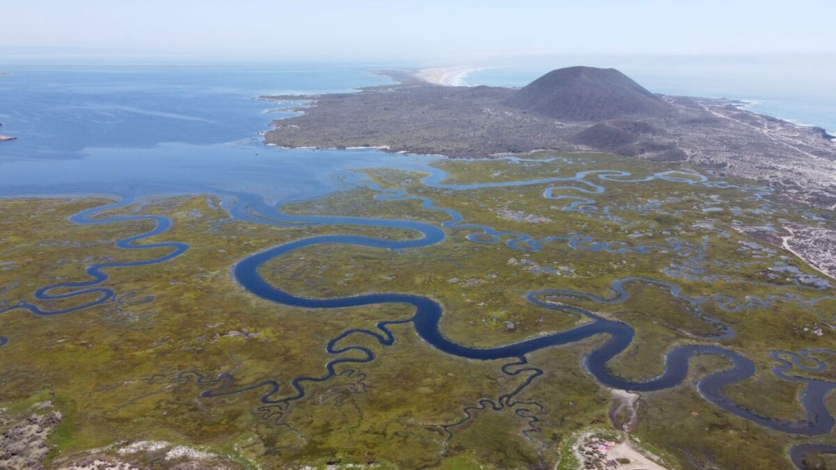 toma aérea de los humedales de san quintín, baja california