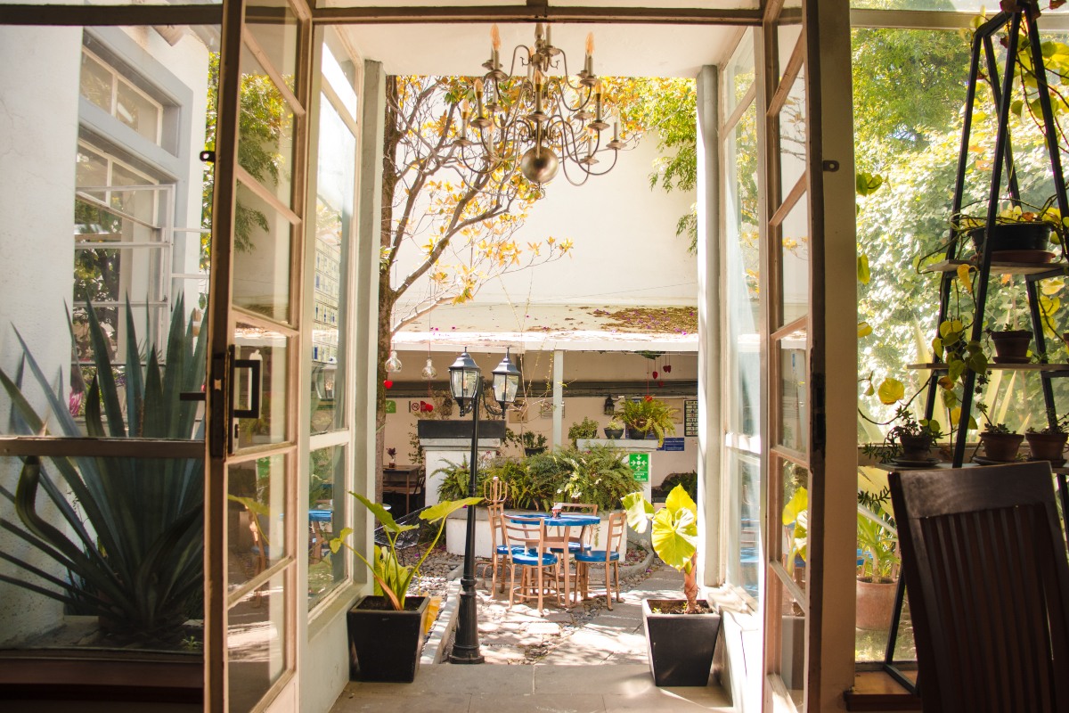 Patio interior de casona porfiriana restaurada con plantas y lámpara de araña en Santa María la Ribera, CDMX.