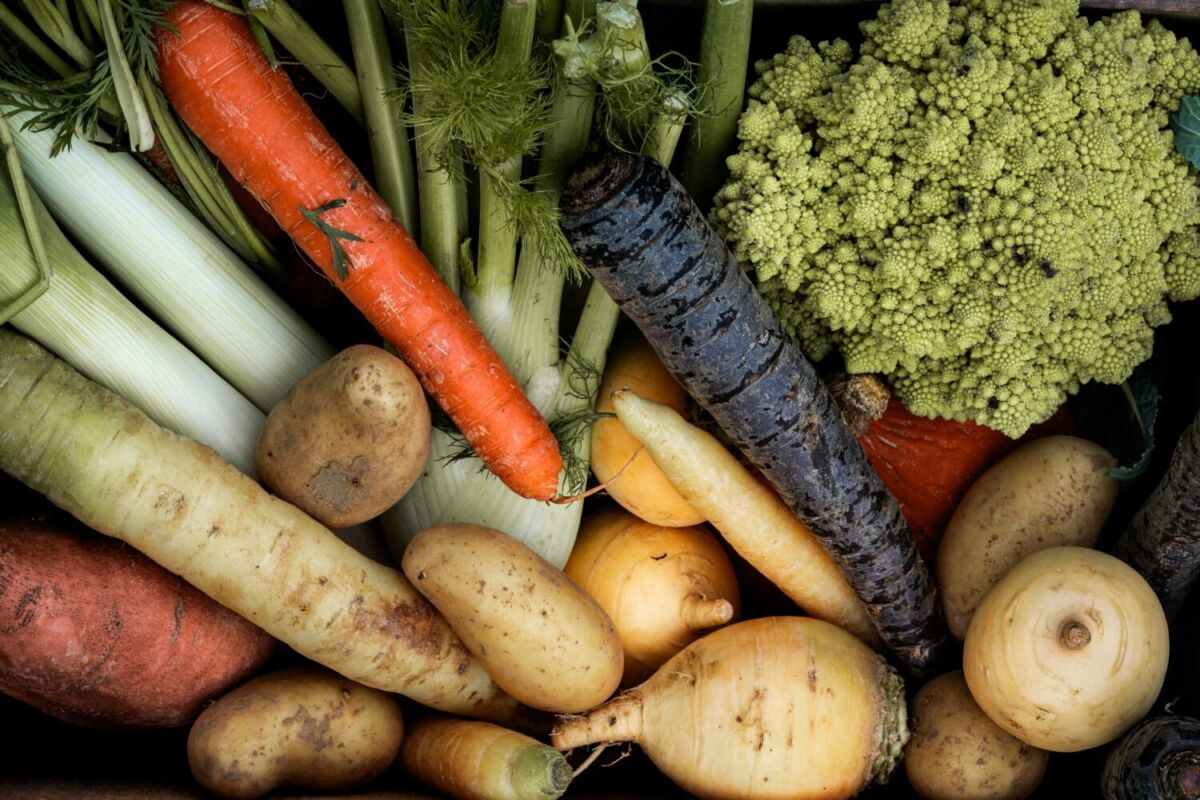 Verduras orgánicas frescas de granjas locales en Todos Santos, zanahorias, papas, coliflor romanesco y vegetales de raíz