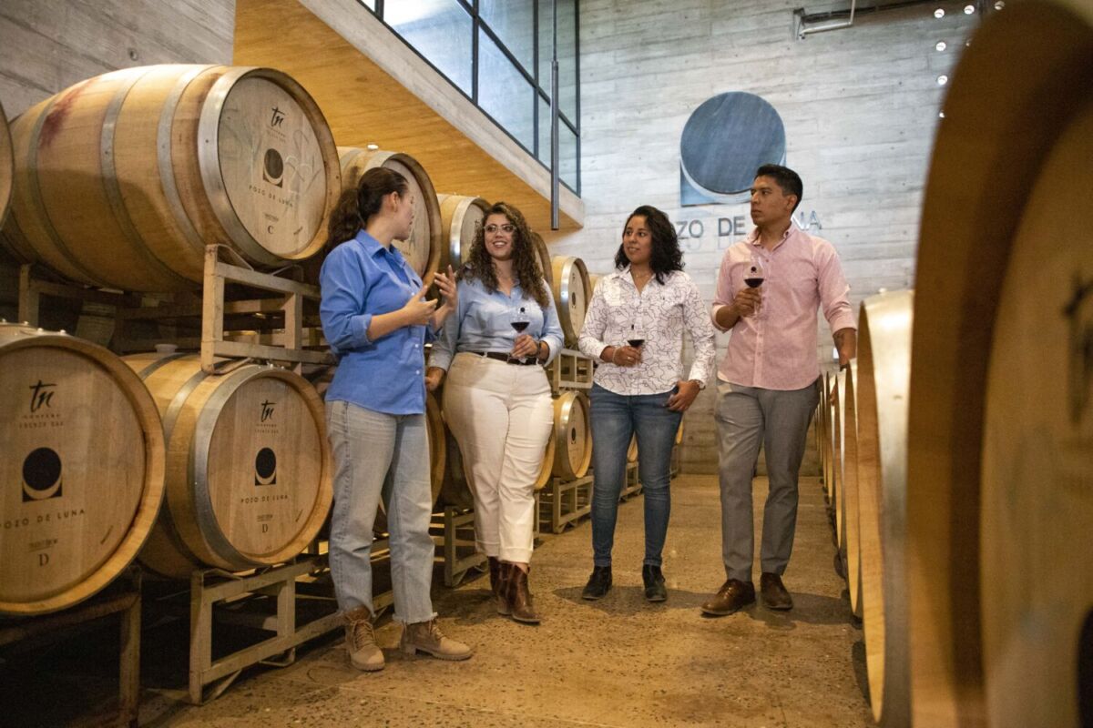 personas en un recorrido por las bodegas de vinos camino de la plata
