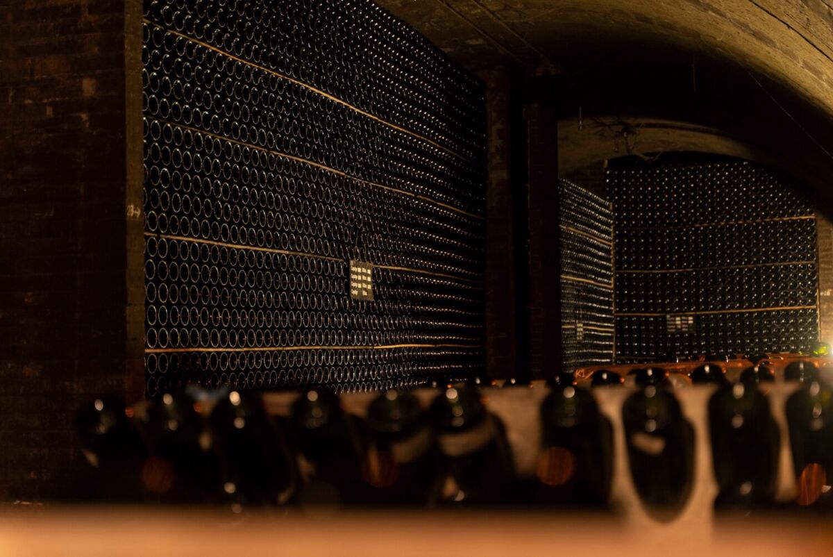 bodega llena de botellas de vino