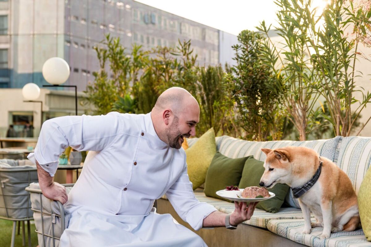 Un chef sirviéndole un plato gourmet a un perrito en Wooftop 