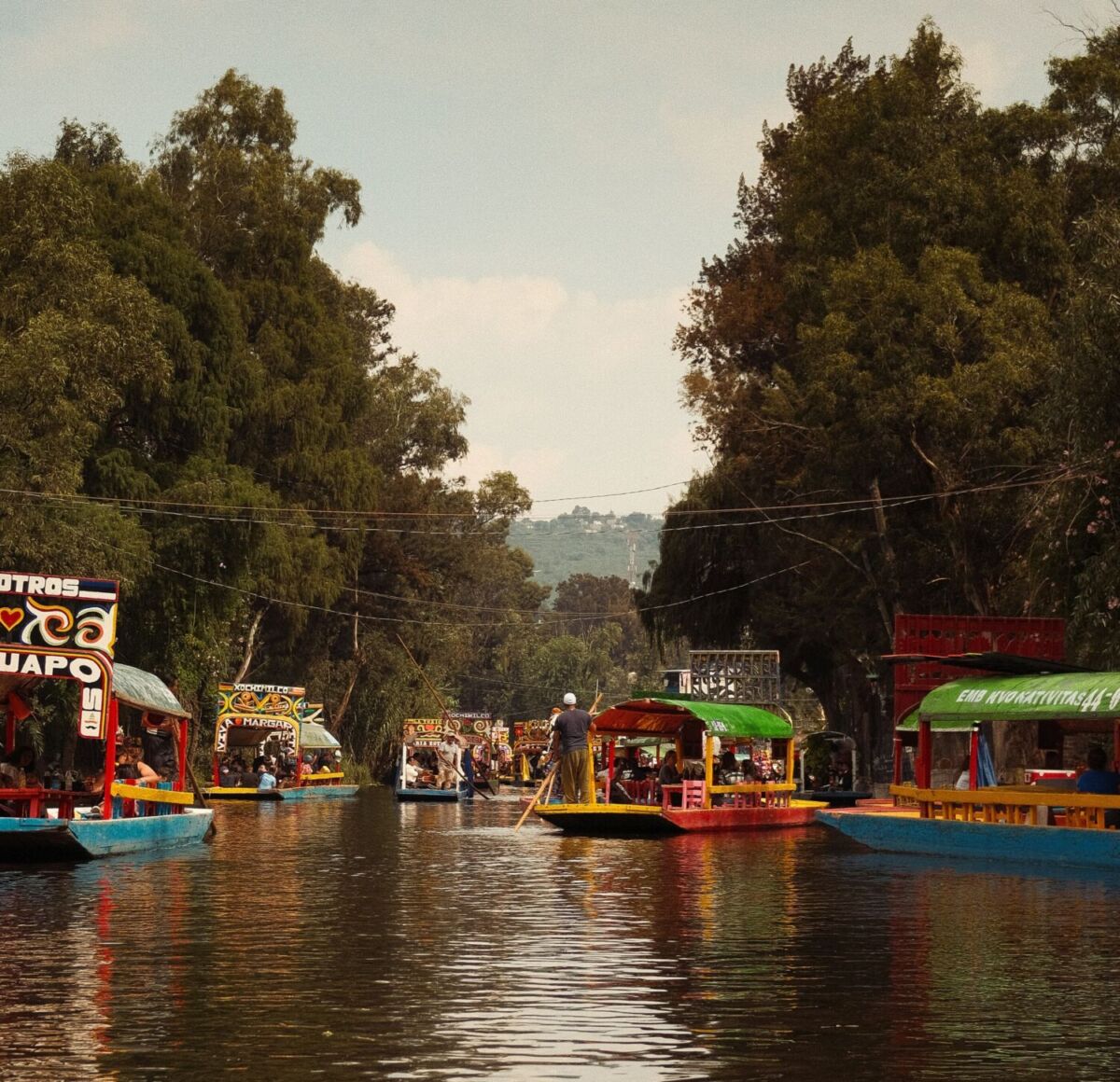 canal con trajineras y arboles a los lados con un cielo azul