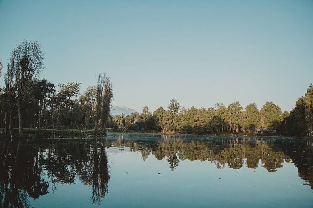 chinampas en xochimilco en un día claro