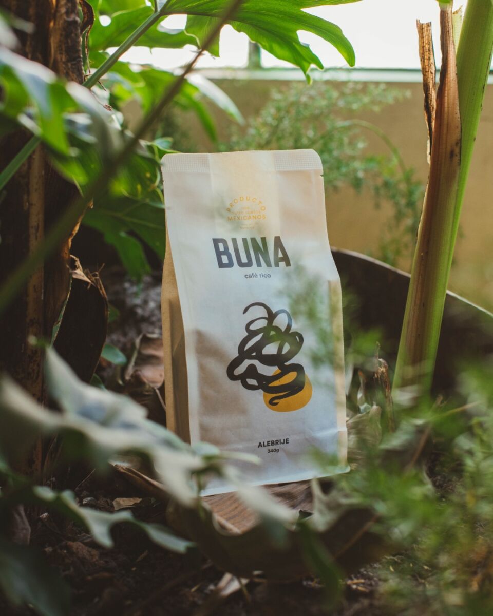 bolsa de café en grano entre plantas