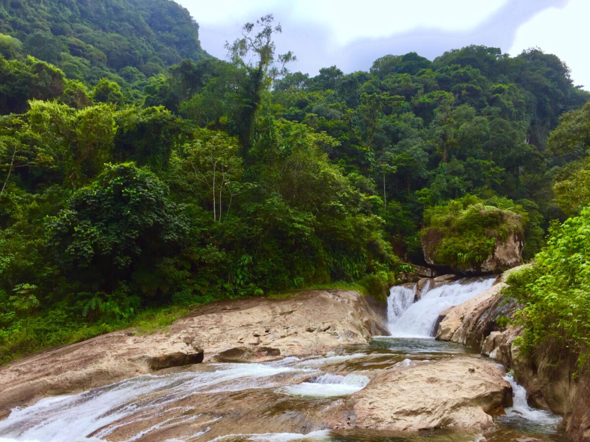 cascada descendiendo junto a los árboles 