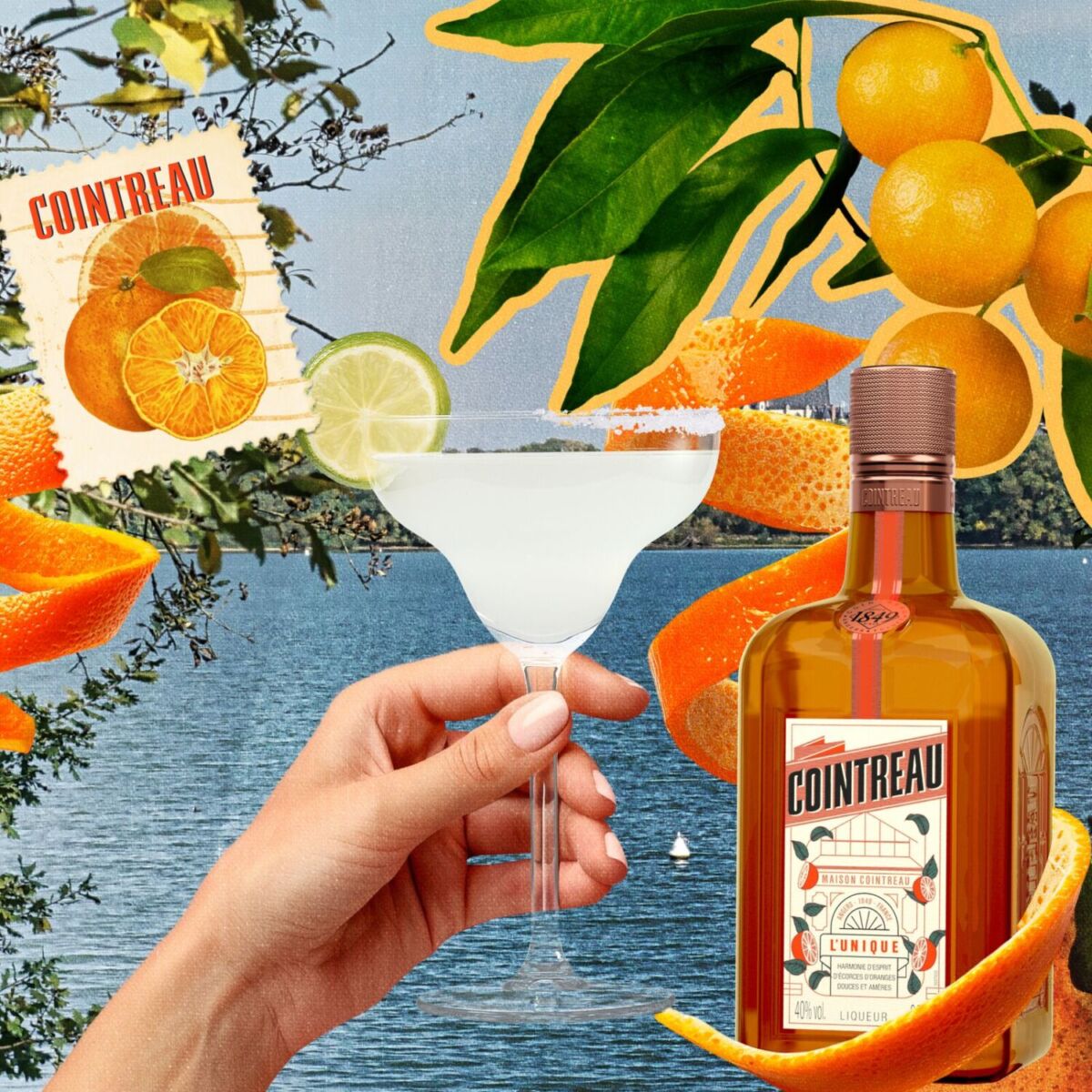 collage de cointreau con margarita y naranjas